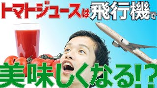 おいしさの本質は味ではないし、服は着ない方がいい【雑談回】#145