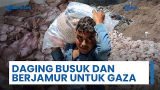 Update Konflik Timur Tengah - Ton Daging Busuk di Gaza, Hizbullah Tewas, Khamenei Diburu Israel