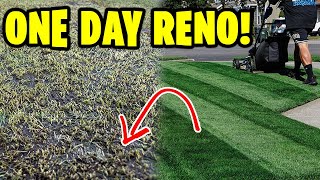 HOW TO: Renovate Your Lawn in 1 Day! NEW GRASS SEED!