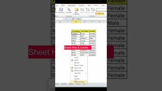 Sheet Hide & Unhide in Excel