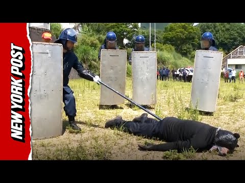Japanese police conduct bear drill after numerous attacks across the country