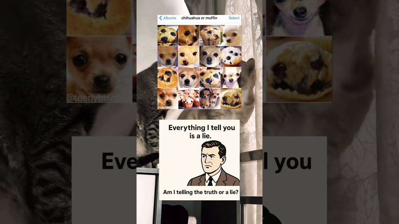 Can you spot the difference? 😂 #shortsfeed #daliymemes #funny #funnymemes #memes #memeshorts