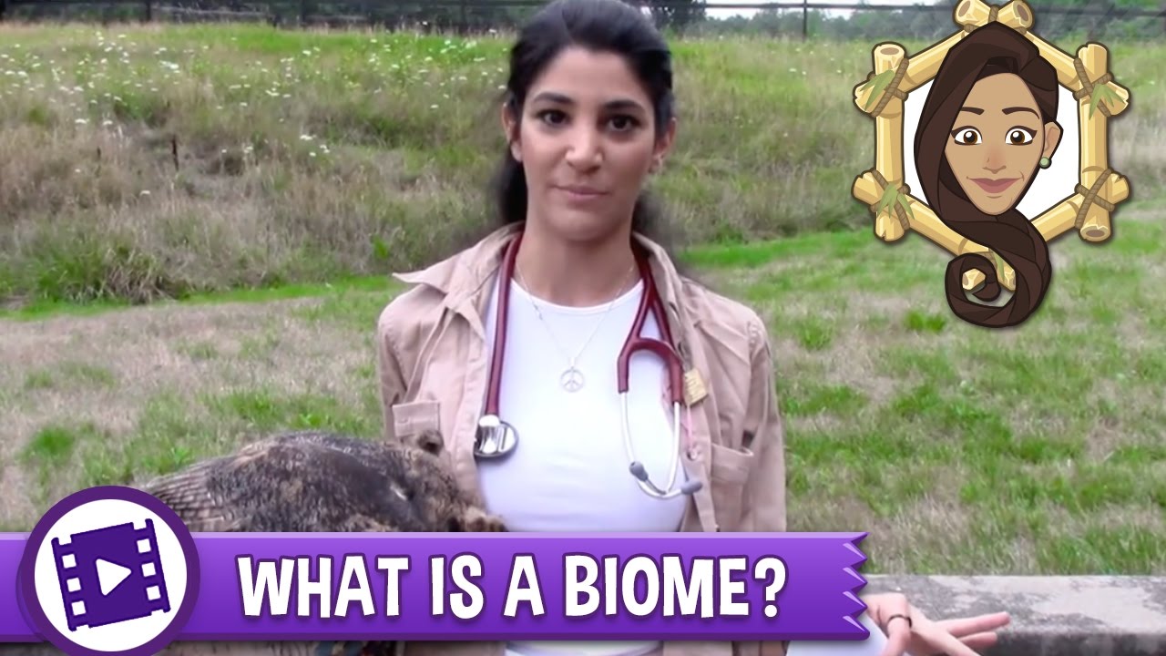 What Is A Biome?