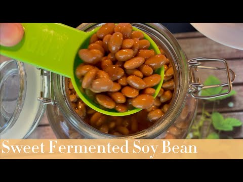 Sweet Fermented Soy Bean| Vlog14 | Rice Porridge Side Dish Tutorial សៀងផ្អែម [Part4]
