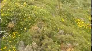 Cueva de los Franceses