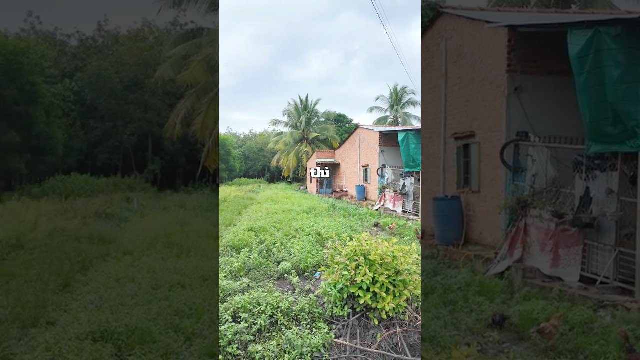 Cách tp Tây Ninh 9km – 15m Mặt Tiền Full Thổ Cư