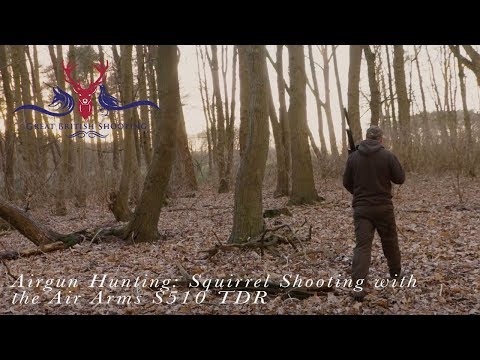 Airgun Hunting: Squirrel Shooting with the Air Arms S510 TDR Video