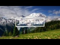 "Vampire" // Lazyboy Empire 