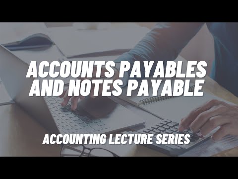 Accounts Payable and Notes Payable