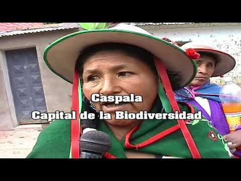 CASPALA CAPITAL DE LA BIODIVERSIDAD FERIA DE CULTIVOS ANDINOS 2009 PRIMERA PARTE