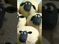 A Bee Autiful Serve By Shaun ShauntheSheep Shorts