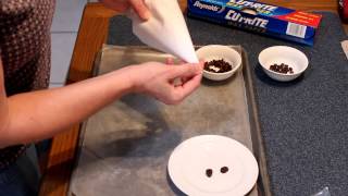 How To Make Chocolate Covered Coffee Beans