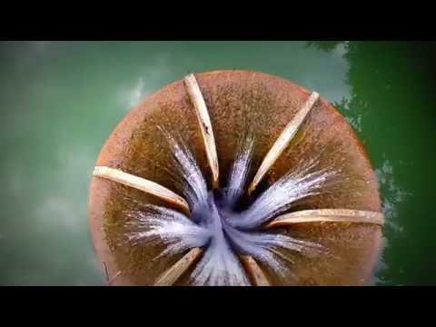 Lacul Vida- Luncasprie Bihor- Drone view by A&A FotoArt Production