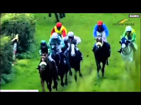 Rennstall Angermann : Unsere 10 Sieger des Jahres 2015