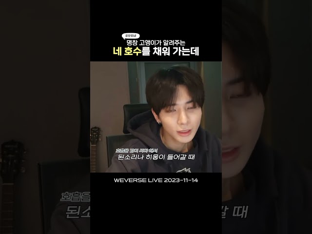 inbot seo 0.1ver