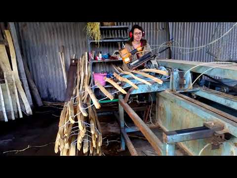 Automatic Chestnut Paling machine