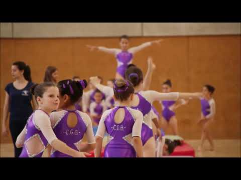 RESUM XII FESTIVAL CGB