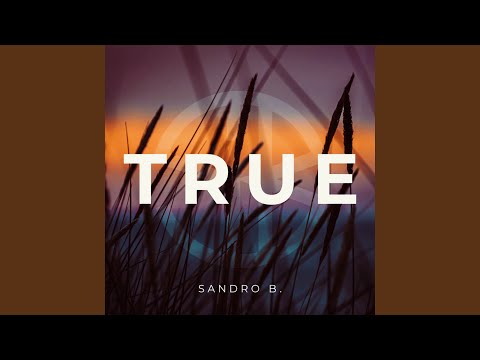 True (Slowed Reverb)