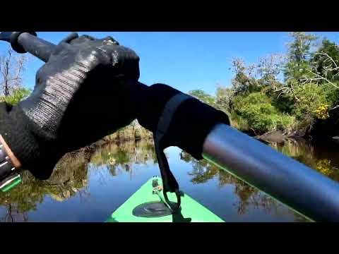 Remando el arroyo Frasquito