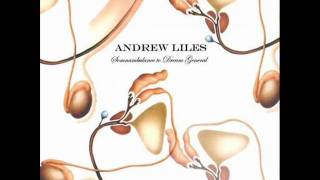 Andrew Liles - Somnambulance To Dream General