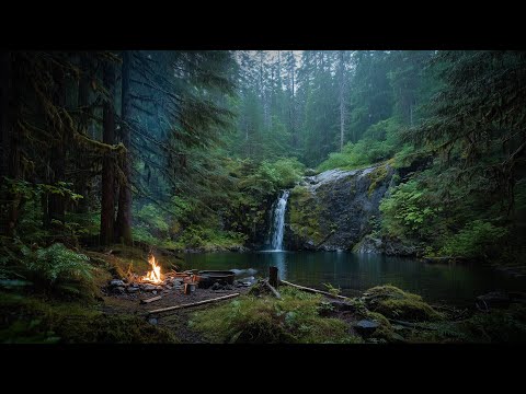 Between the Days | Where Rain Never Stops 🌨️ 🌲