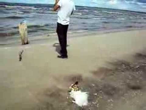 PATRICIA BEACH 2012 026