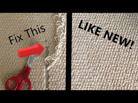 How do I fix a carpet pull. Fast and Easy!!