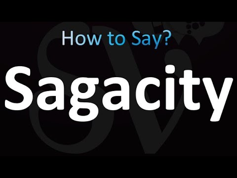 How to Pronounce Sagacity (Correctly!)