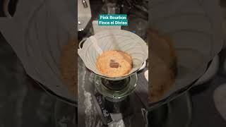 Night brew | Exotic beans | Pink Bourbon Finca el Diviso