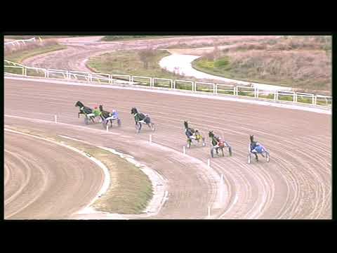 Trotto 25/09/2020 - prova di qualifica