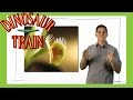 Carnivourus Plants Dinosaur Train The Jim Henson Company