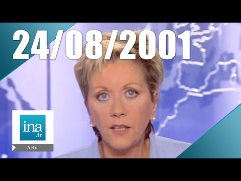 8 p.m. France 2, August 24, 2001 - Miraculous birth in Nantes | INA Archive