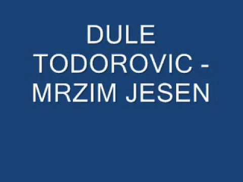 Dule Todorovic - Mrzim Jesen.wmv