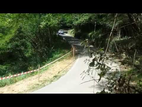 Rally Reggello 2014