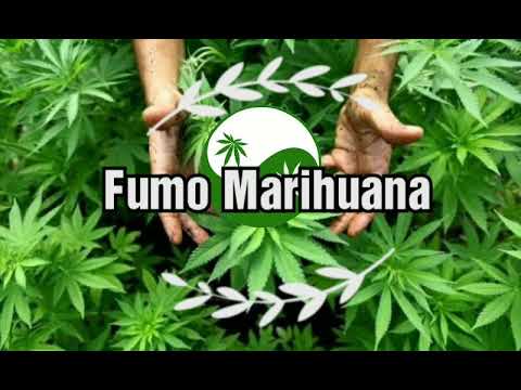 Bambino Atn & Iojitomc - Fumo Marihuana