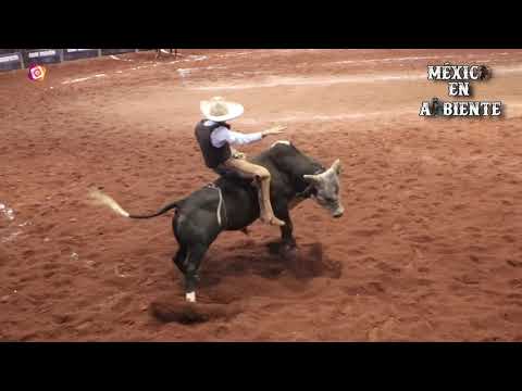 EXCELENCIA CHARRA 2019 FINAL JINETEO DE TORO ALFREDO GUTIÉRREZ