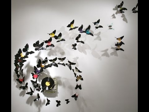Jiří Schelinger - Butterfly