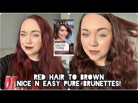 Demo and Review of the NEW Clairol Nice N Easy Pure Brunettes - Medium Pure Brown