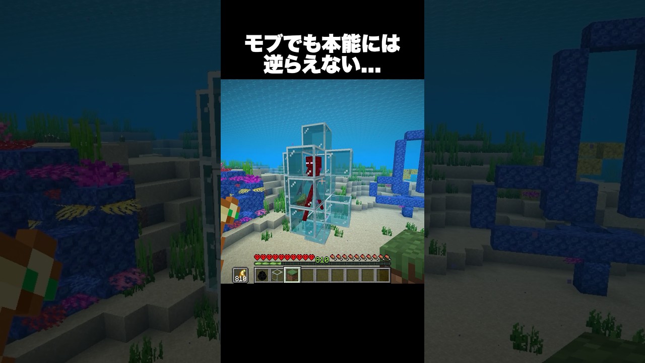 モブでも本能には逆らえない… #shorts #マインクラフト #マイクラ