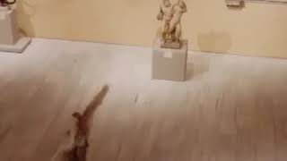 Met Gala - Young and Beautiful