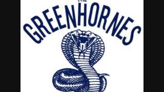 The Greenhornes - Shelter of Your Arms