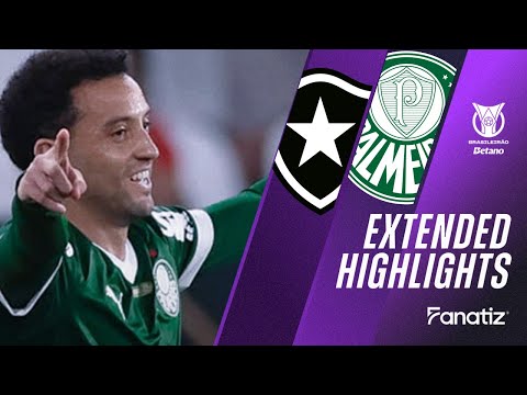 Botafogo vs. Palmeiras 0 - 1 I Game Highlights I Brasileirão 2025
