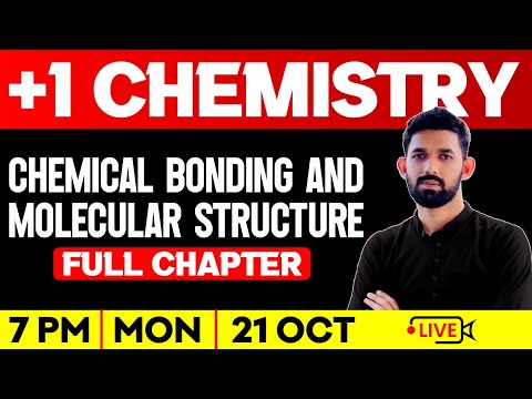 Plus One Chemistry | Chemical Bonding and Molecular Structure | Full Chapter | Exam Winner Plus One