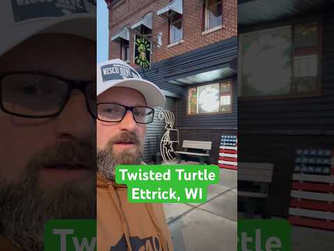 Twisted Turtle Video Review