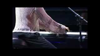 Festival de Viña 2012, Camila, Alejate de mi