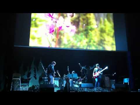 Andrew Whiteman (Broken Social Scene) - The National Parks Project Live