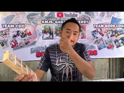 Spreading Spiderlings in CDO