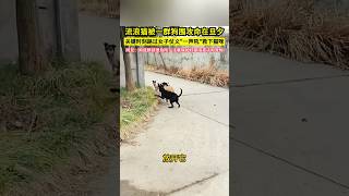 Re: [新聞] 比悲傷更悲傷！ 不只豆棗 北市動物園出