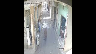 22 2 2024 ظهرا