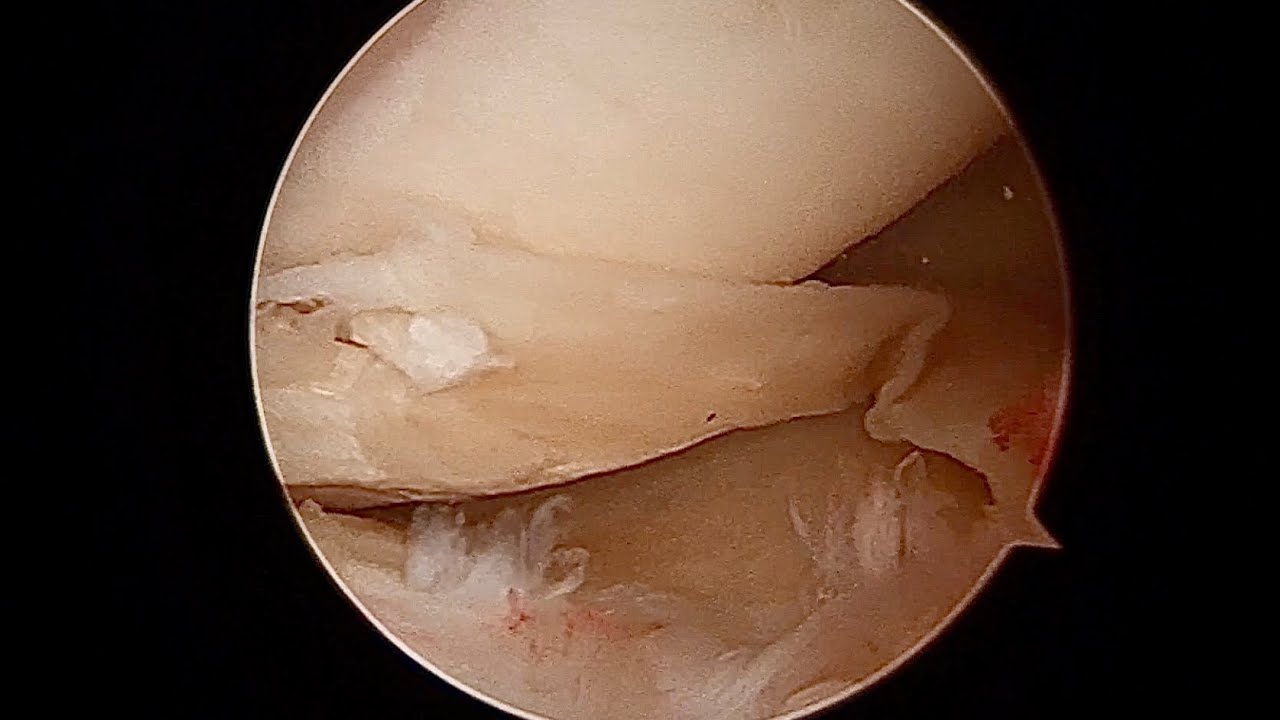 Daniele Passaretti-41